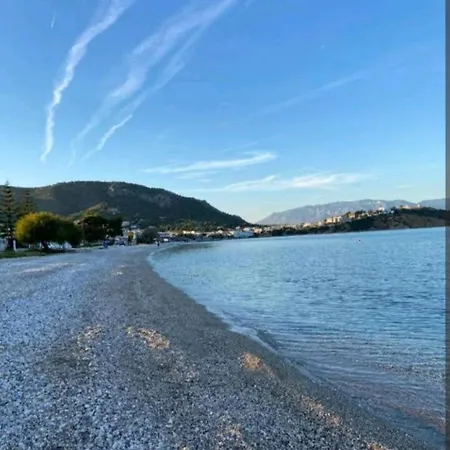 George's カト・アルミリ