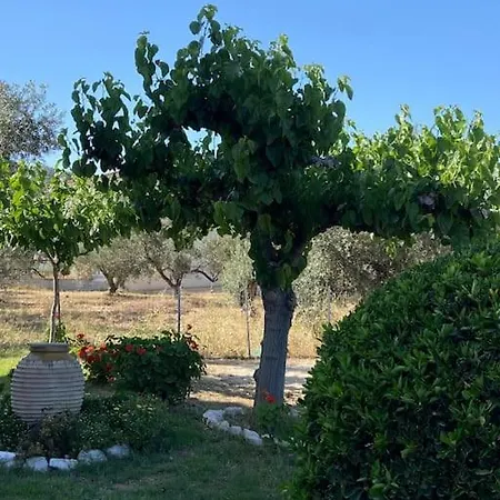 George's アパート