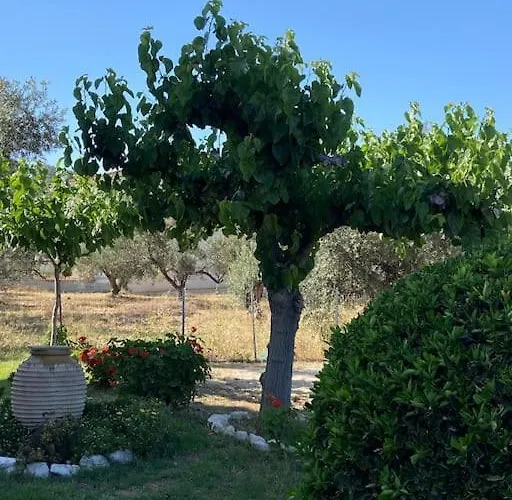 George's Apartamento